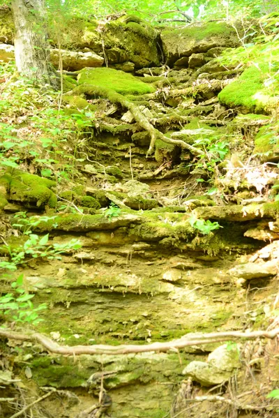 DSC_2751 (Large).JPG